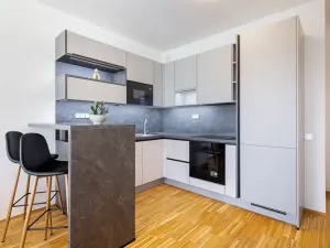 Pronájem bytu 2+kk, Praha - Karlín, Rohanské nábřeží, 60 m2