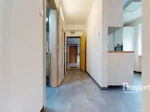 Pronájem bytu 1+1, Ústí nad Labem - Ústí nad Labem-centrum, SNP, 30 m2