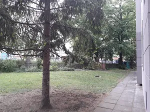 Pronájem bytu 3+1, Praha - Strašnice, Svojetická, 68 m2