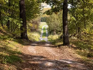 Prodej ubytování, Benešov nad Černou, 217 m2