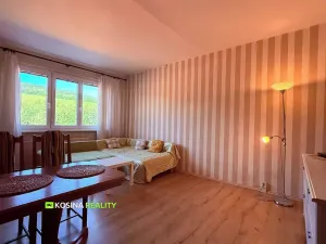 Pronájem bytu 1+1, Kraslice, Čs. armády, 37 m2