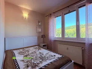 Pronájem bytu 1+1, Kraslice, Čs. armády, 37 m2
