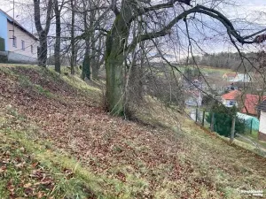 Prodej pozemku, Nové Dvory, 2443 m2