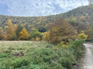Prodej louky, Štěchovice, 4119 m2