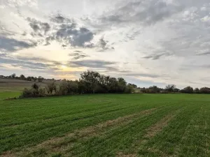 Prodej sadu/vinice, Brtnice, 1574 m2