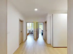 Pronájem bytu 3+kk, Olomouc, 17. listopadu, 88 m2