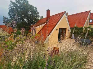 Pronájem rodinného domu, Pavlov, Vinařská, 140 m2