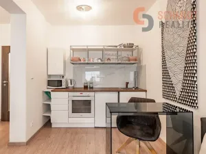 Pronájem bytu 1+kk, Mikulov, Purkyňova, 27 m2
