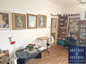 Prodej vily, Brno, Barvičova, 209 m2