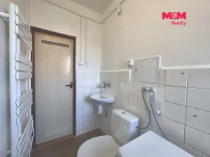 Pronájem bytu 1+1, Liběšice, 30 m2