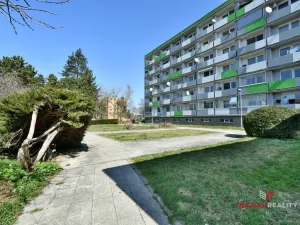 Pronájem bytu 2+kk, Hradec Králové - Nový Hradec Králové, Brožíkova, 42 m2