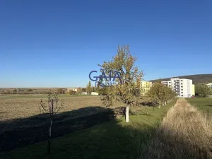 Prodej pole, Velká nad Veličkou, 1517 m2