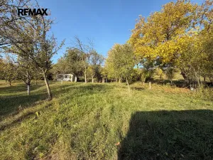 Prodej chaty, Uherský Brod, 16 m2