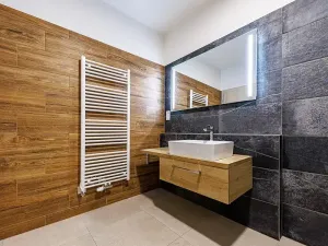 Pronájem bytu 2+kk, Olomouc, Šantova, 68 m2