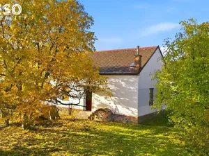 Prodej obchodního prostoru, Krnov, Krásné Loučky, 442 m2