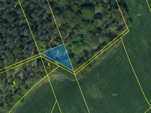 Prodej lesa, Ostřetín - Vysoká u Holic, 869 m2