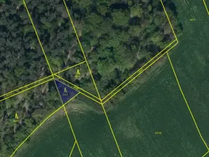 Prodej lesa, Ostřetín - Vysoká u Holic, 869 m2