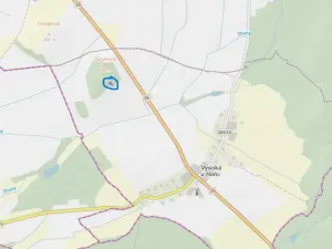 Prodej lesa, Ostřetín - Vysoká u Holic, 869 m2