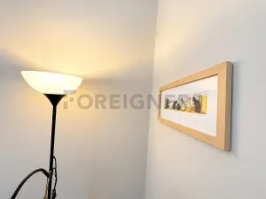 Pronájem bytu 1+kk, Praha - Vinohrady, Varšavská, 40 m2