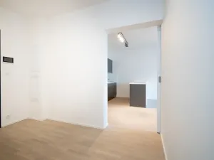 Pronájem bytu 3+kk, Praha - Nusle, V Horkách, 82 m2