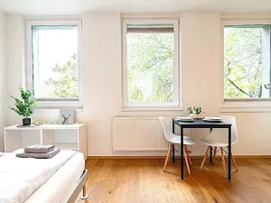 Pronájem bytu 1+kk, Praha - Vinohrady, Perucká, 25 m2