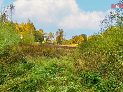 Prodej pozemku pro bydlení, Stará Voda, 2517 m2