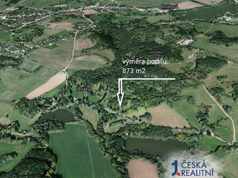 Prodej podílu lesa, Vrbatův Kostelec, 873 m2