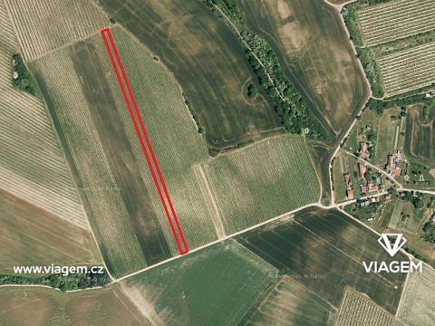 Prodej sadu/vinice, Valtice, 706 m2