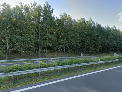 Prodej lesa, Sokolov, 13827 m2