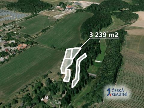 Prodej podílu lesa, Velký Třebešov, 314 m2