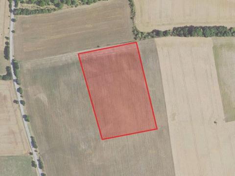 Prodej zemědělské půdy, Zvoleněves, 7077 m2