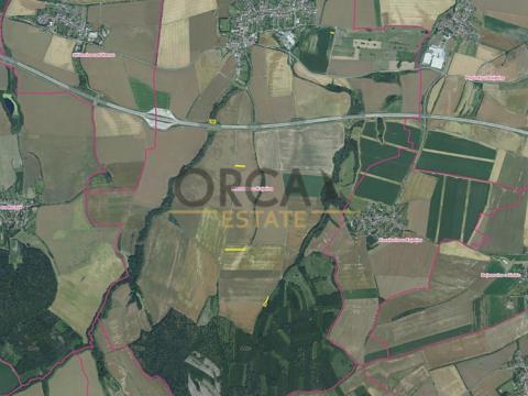 Prodej zemědělské půdy, Křenovice, 6646 m2