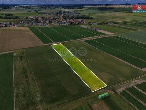 Prodej zemědělské půdy, Dřísy, 4454 m2