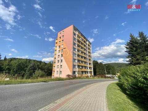 Prodej bytu 1+kk, Tanvald, Radniční, 26 m2