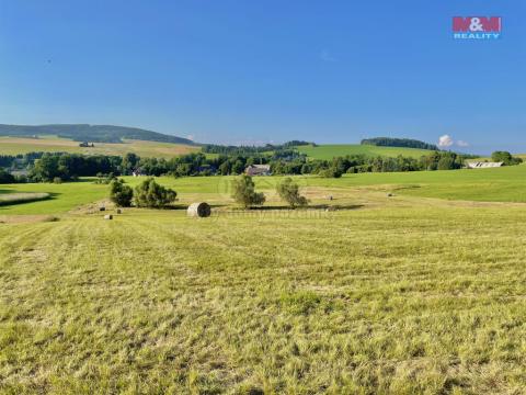 Prodej trvalého travního porostu, Horní Heřmanice, 18479 m2