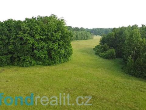 Prodej pozemku, Chlum u Třeboně, 2008 m2