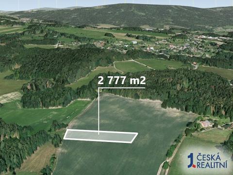 Prodej zemědělské půdy, Železný Brod, 2777 m2