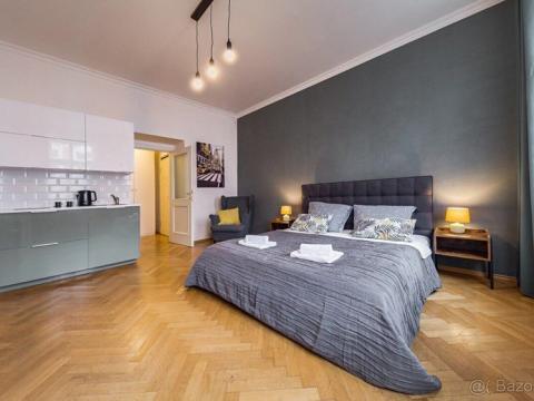 Pronájem bytu 1+kk, Praha - Žižkov, Víta Nejedlého, 30 m2