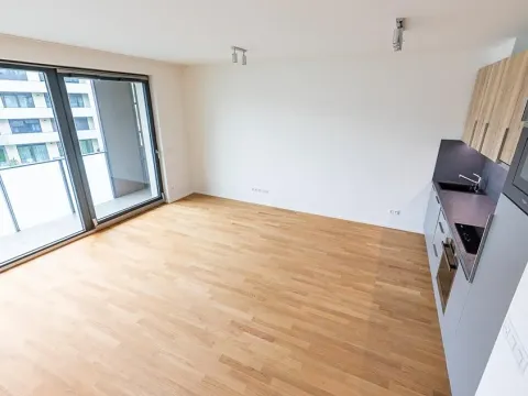 Prodej bytu 1+kk, Praha - Žižkov, Seifertova, 44 m2