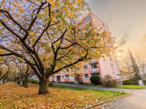 Prodej bytu 3+1, Ústí nad Labem, Pod Parkem, 84 m2