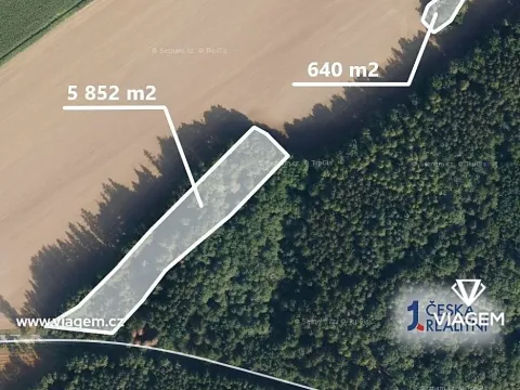 Prodej podílu lesa, Bezděkov pod Třemšínem, 5668 m2