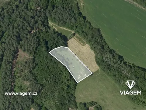 Prodej podílu lesa, Lazinov, 750 m2