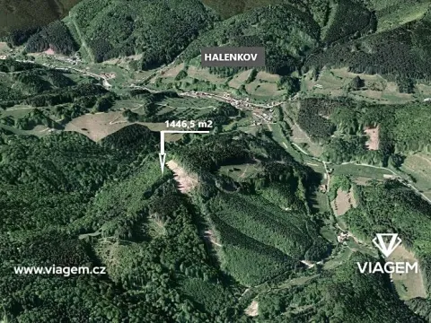 Prodej podílu lesa, Halenkov, 1446 m2