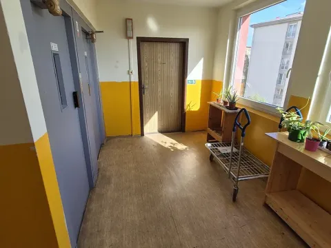 Prodej podílu bytu 2+kk, Praha - Žižkov, Pod lipami, 44 m2