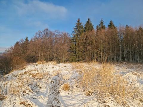 Prodej pozemku pro bydlení, Nová Ves v Horách, 778 m2