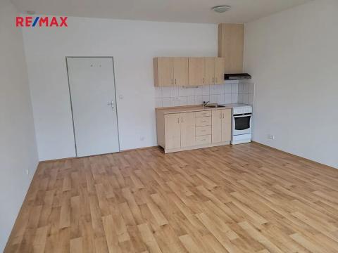 Pronájem bytu 1+kk, Strakonice, Lidická, 37 m2