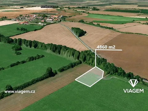 Prodej podílu pole, Netřebice, 810 m2