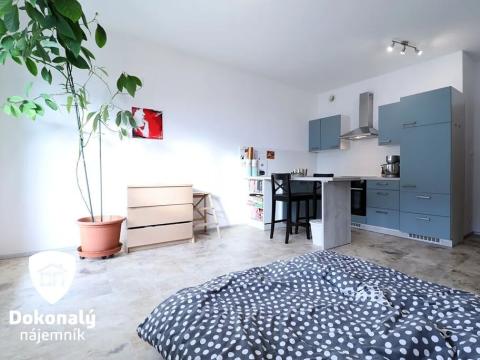 Pronájem bytu 1+kk, Praha - Dolní Měcholupy, Kardausova, 32 m2