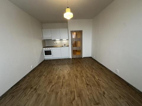 Pronájem bytu 1+kk, Praha - Braník, Nad lesním divadlem, 24 m2