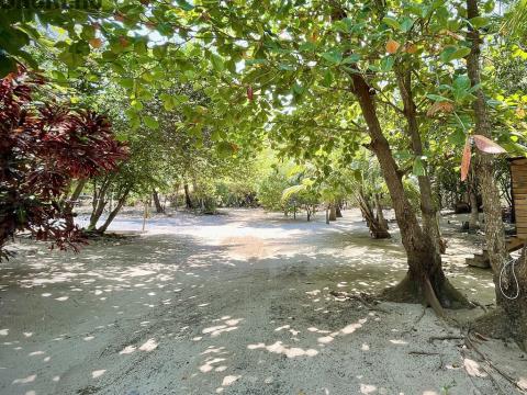 Prodej rodinného domu, Camp Bay, José Santos Guardiola, Honduras, 2006 m2